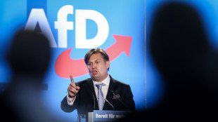 EU-Spitzenkandidat Krah drängt festgenommenen Mitarbeiter zum AfD-Austritt