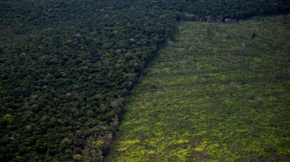 Developing nations demand more money at crunch UN biodiversity talks