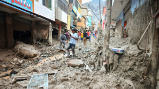 Peru's president inspects area ravaged by mudslides