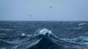 New treaty plots conservation course for high seas 