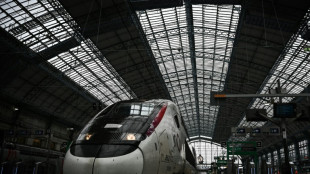 TGV, TER, Ouigo: la grève à la SNCF perturbe les départs en vacances