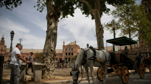 Western Europe heatwave to peak in Spain