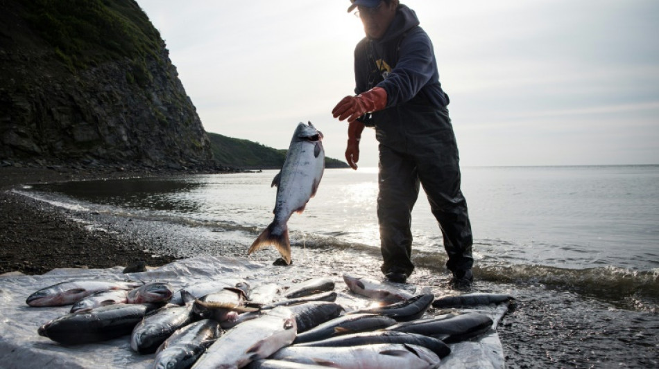 EEUU bloquea proyecto minero en una bahía de Alaska rica en salmón  