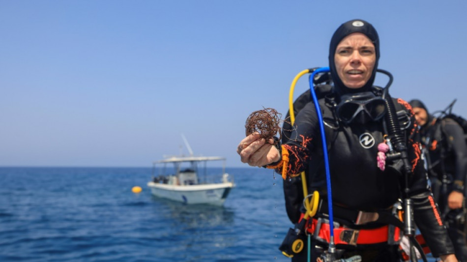 Volunteer divers guard Oman's 'unique' coral reefs