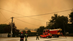 En Gironde et près d'Avignon, d'importants incendies en cours et des fortes chaleurs