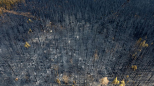 L'armée arrive dans l'ouest canadien pour lutter contre les feux 