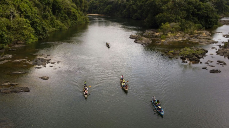 'Progress destroying nature': Brazil dam fuels fears for river