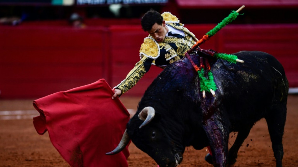 Mexico City, bastion of bullfighting, considers ban