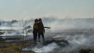 'Out of control fires' in Brazil wetlands spark state of emergency