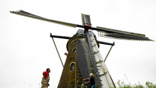 'Windmill love' sees Dutch artist become mill operator