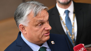 Orban äußert sich optimistisch nach Sieg von Rechtspopulisten bei erster Wahlrunde in Frankreich