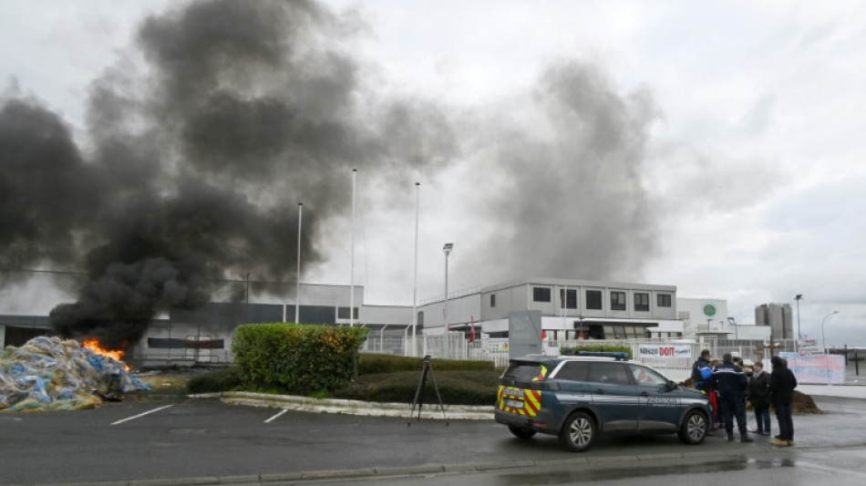 Nestlé cierra una fábrica en Francia tras un escándalo de pizzas contaminadas