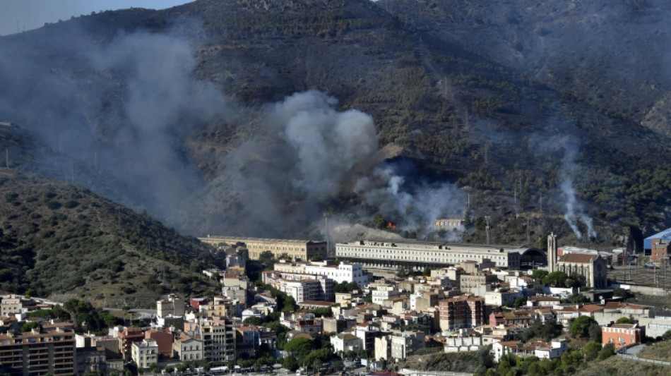 El incendio en la frontera de España con Francia en vías de ser controlado