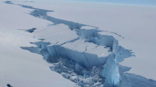 Les pérégrinations d'un iceberg géant détaché de l'Antarctique