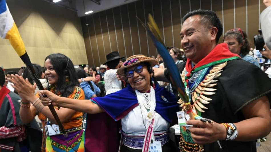 UN nature summit agrees on body for Indigenous representation