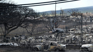 Après les incendies meurtriers à Hawaï, Maui porte plainte contre le principal fournisseur d'électricité