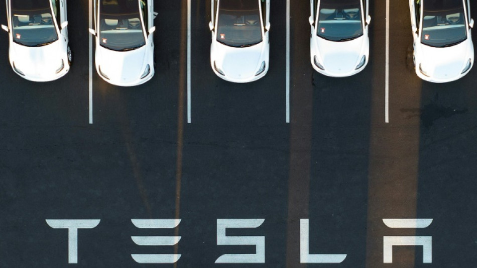 Medien: Umweltrechtliche Genehmigung für Tesla-Werk in Brandenburg steht kurz bevor