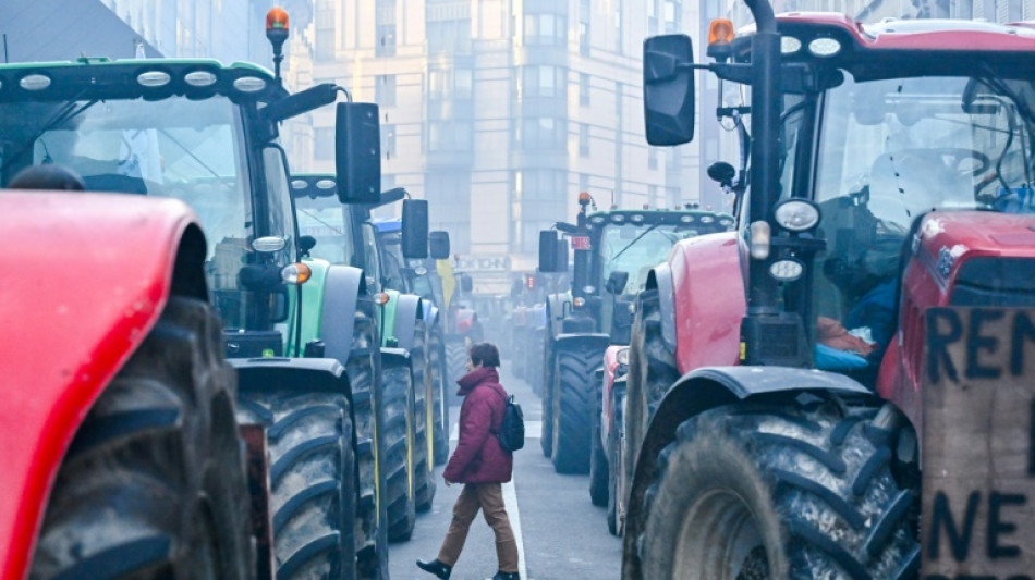 Bauernproteste in Europa gehen weiter