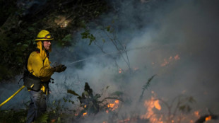 Fuego contra el fuego: California combate incendios forestales con quemas controladas