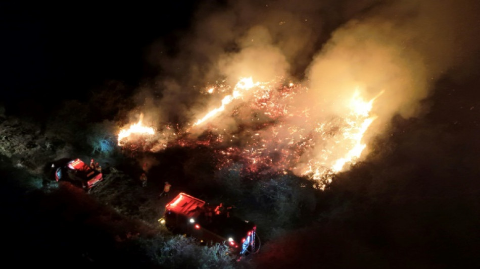 Brazil's Pantanal wetlands see record fires even before dry season