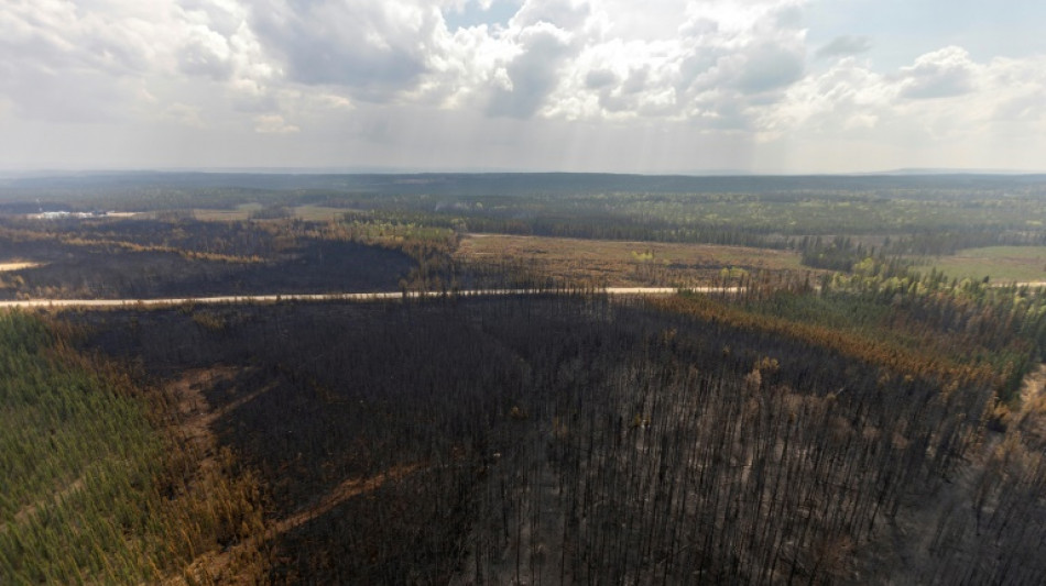 Douze parcs provinciaux fermés face aux risques d'incendies dans l'Ouest canadien