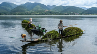 Myanmar's famed Inle Lake chokes on floating farms