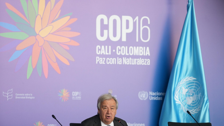 Cop16, l'Onu chiede più fondi a difesa della biodiversità