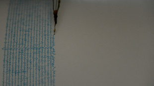 Un sismo de 6,5 sacude el sur de México sin dejar víctimas ni daños