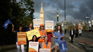 Britischer Gesundheitsminister: Ärztestreik in England schadet Patienten