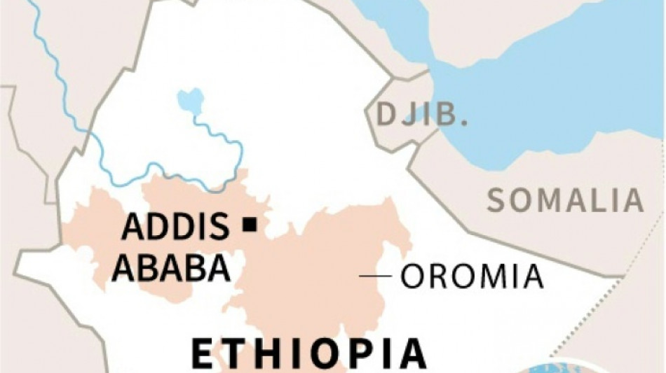 Amnesty urges probe into 'horrific' ethnic massacre in Ethiopia