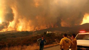 Climat: 2024 sera bien la première année au-dessus du seuil de 1,5°C de réchauffement