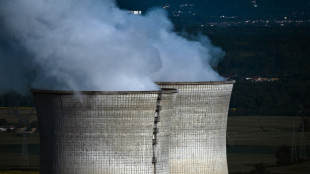 Nucléaire: la réforme décriée de la sûreté proche de son adoption finale au Parlement