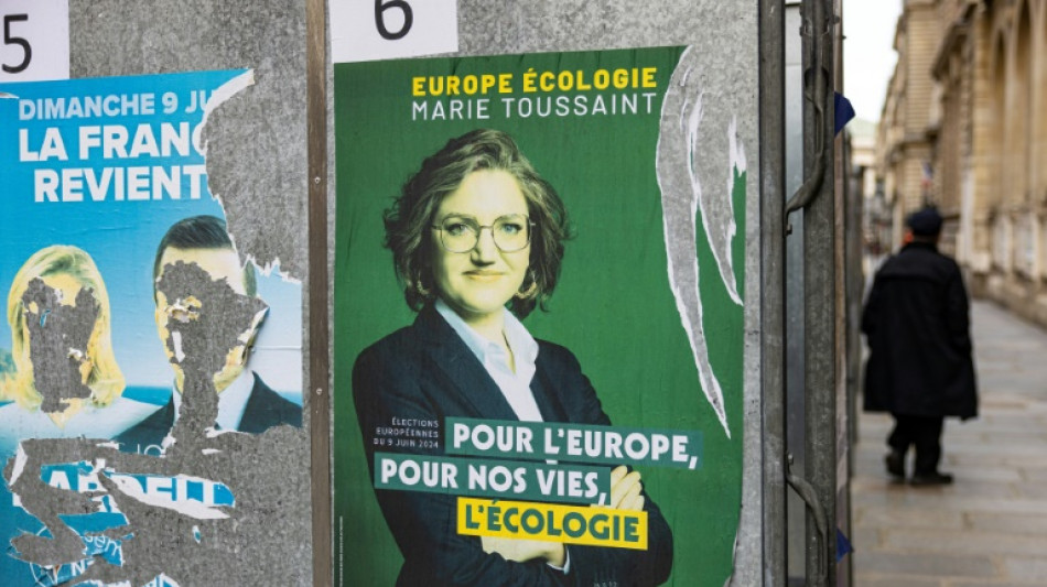 Européennes: la bérézina des Verts, même dans les villes écolos