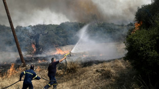 Al menos 150.000 hectáreas ardieron este verano en Grecia