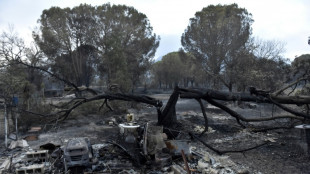 Miles de campistas evacuados por un incendio en el sudeste de Francia, cerca de España