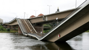 Allemagne: effondrement partiel d'un pont à Dresde, pas de victimes