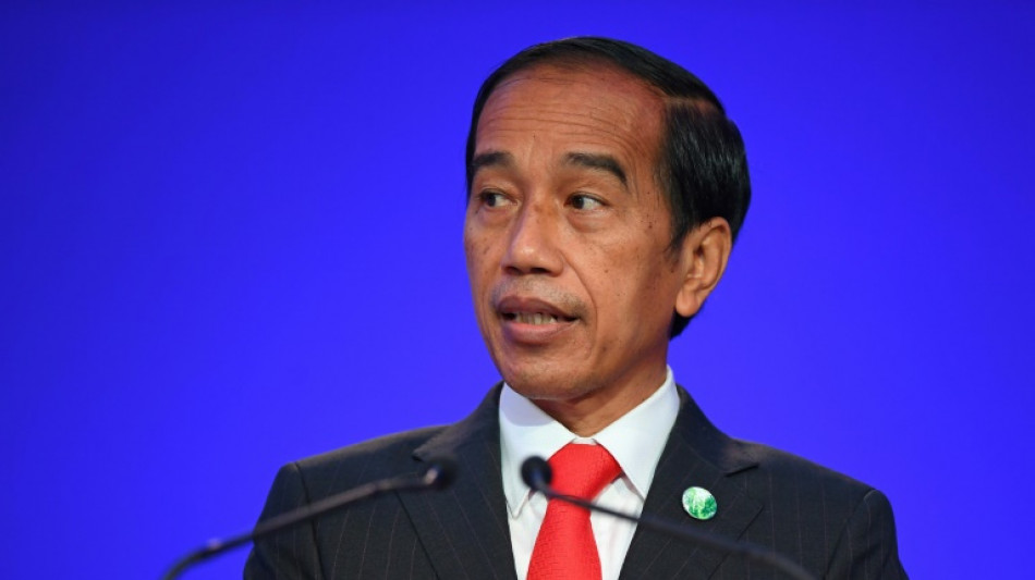 Indonesia to push for new global health agency, president says