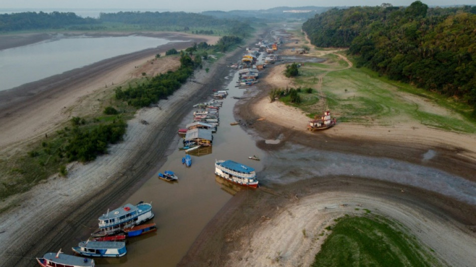 Climate change behind extreme Amazon drought: study