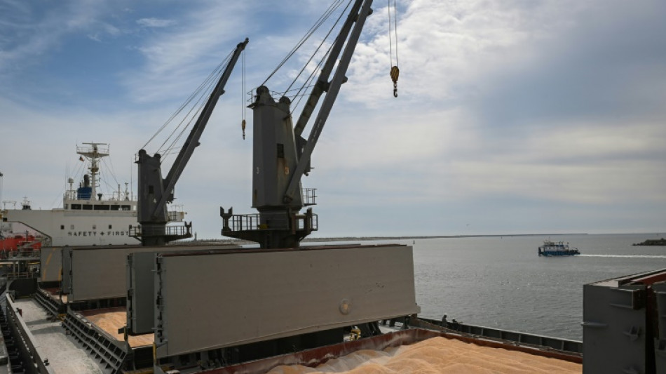 Constanta, port roumain providentiel pour les céréales ukrainiennes