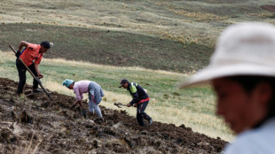 "On ne peut plus lutter seuls": le SOS des agriculteurs péruviens face à la sécheresse