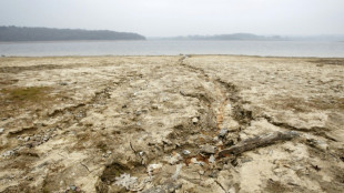 France and parts of England see driest July on record 