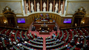 Pouvoir d'achat: au tour du Sénat, après les prolongations jouées par les députés