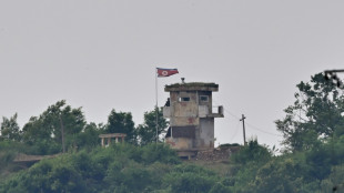 North Korean defects to South, says Seoul military