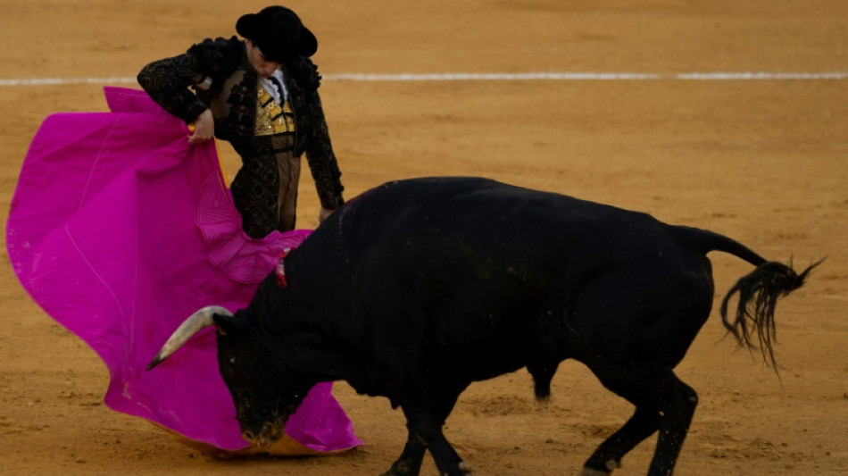 La supresión del Premio Nacional de Tauromaquia levanta polémica en España