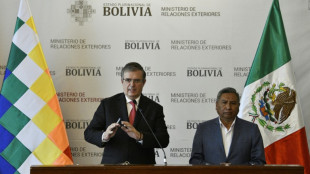 México busca aprovechar experiencia de Bolivia para industrializar el litio