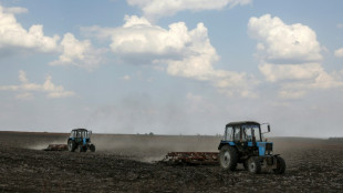 Sommerprognose: Konjunktur in Osteuropa gewinnt an Fahrt