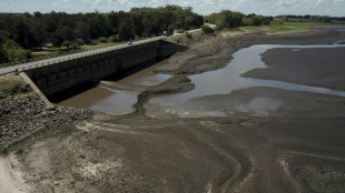 Crece la preocupación en Uruguay por la sequía que agota reservas de agua y destruye cultivos