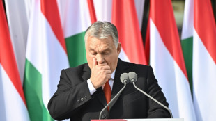 Orban acusa a la UE de bloquear fondos para Hungría por "razones políticas"