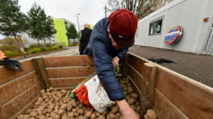 Erzeugerpreise für landwirtschaftliche Produkte im Oktober spürbar gestiegen