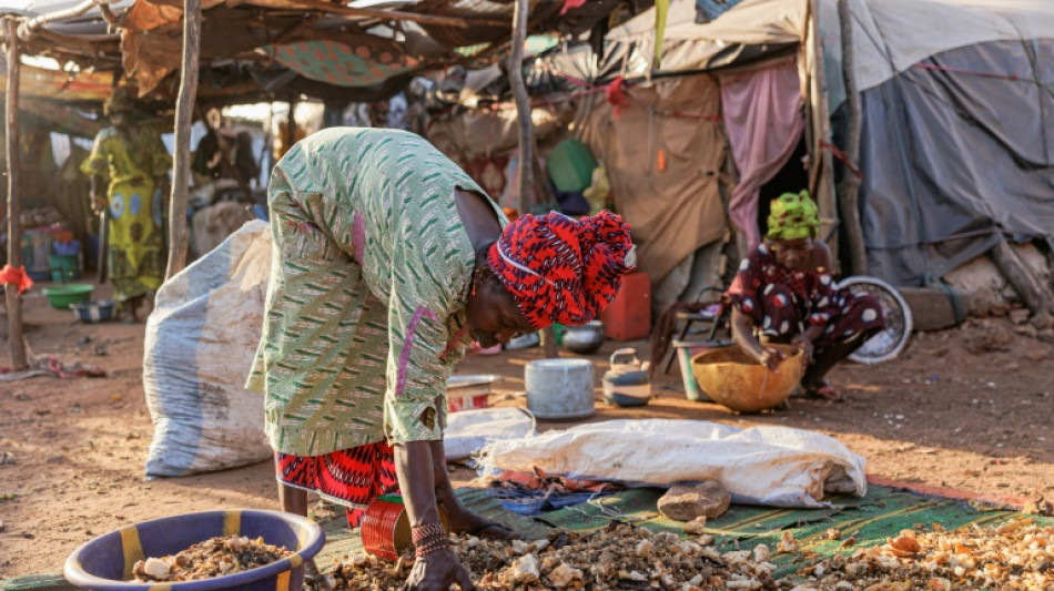 Cada día se echaron a perder mil millones de comidas en 2022, según la ONU